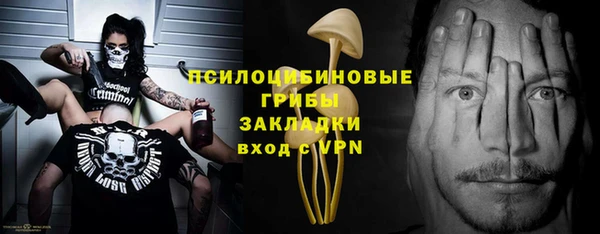 jwh Белокуриха