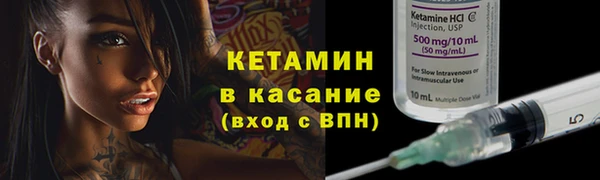 молекула духа Богданович