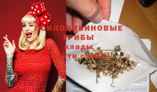ешки Белоозёрский
